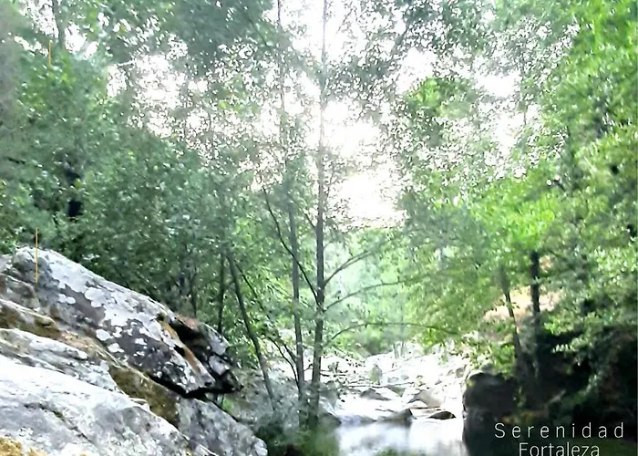 El Sueno De La Pintora, Al Lado De Piscinas *